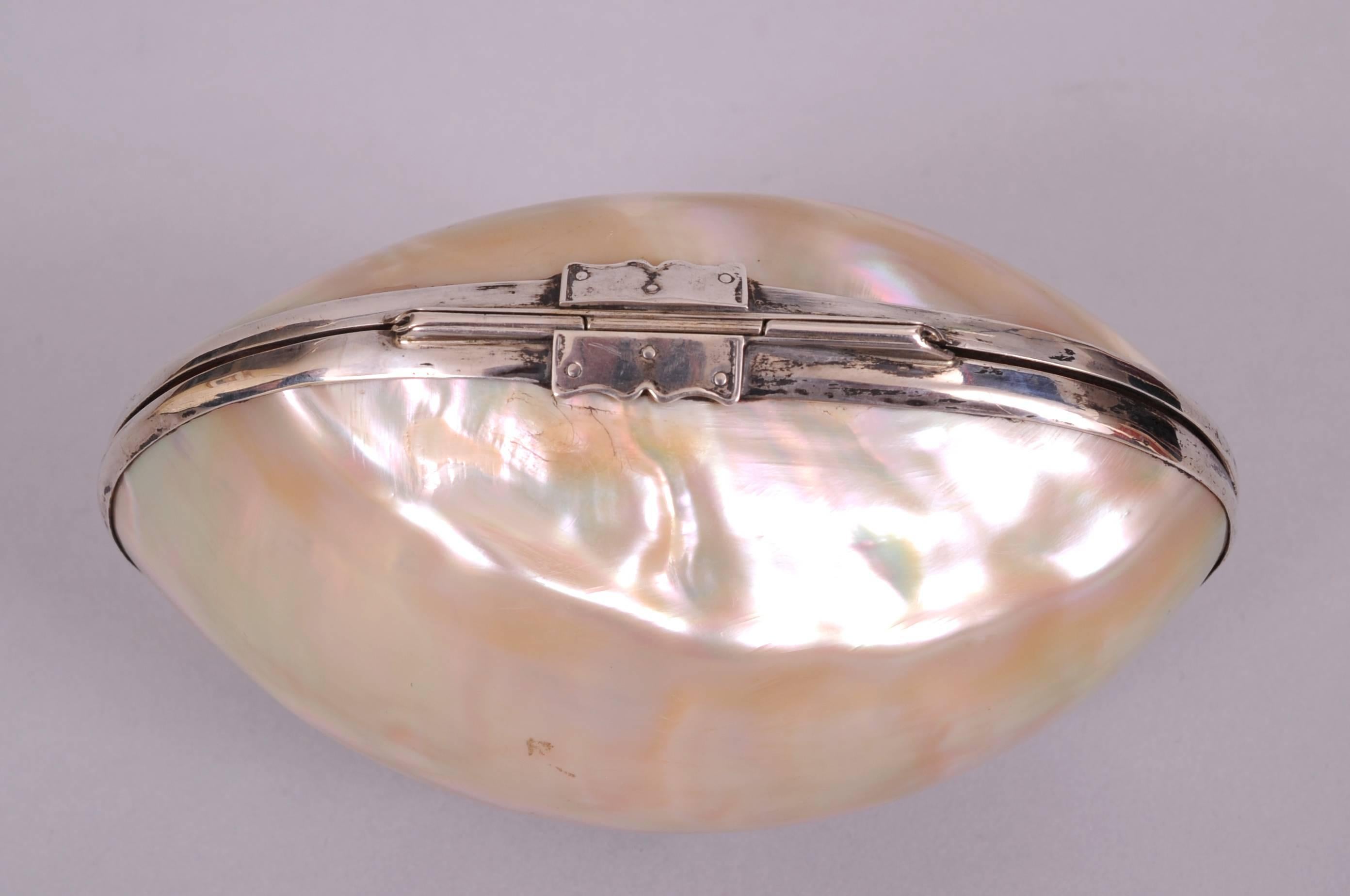 1970's Sterling Silver Framed Italian Sea Shell Minaudiere In Excellent Condition In New Hope, PA