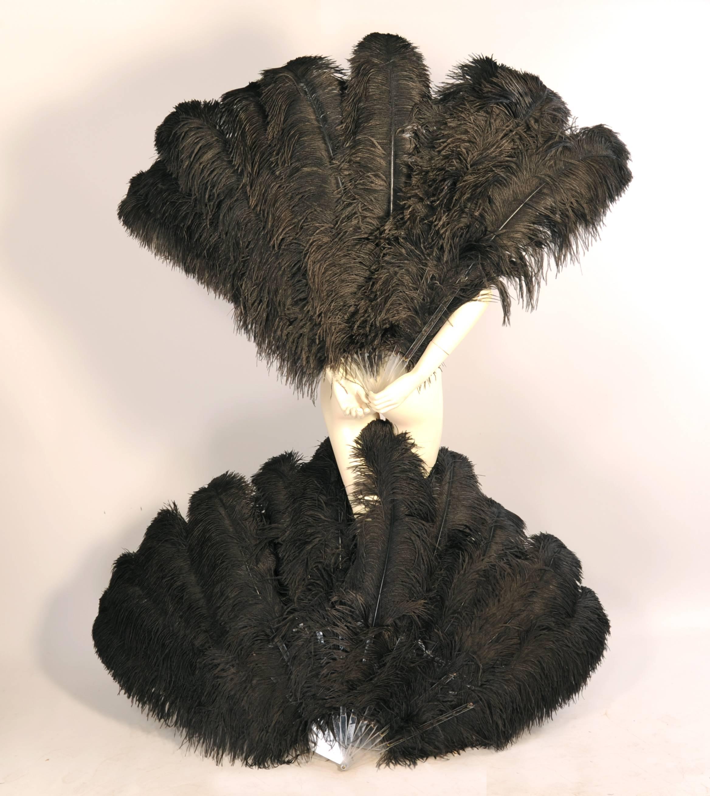 giant feather fans