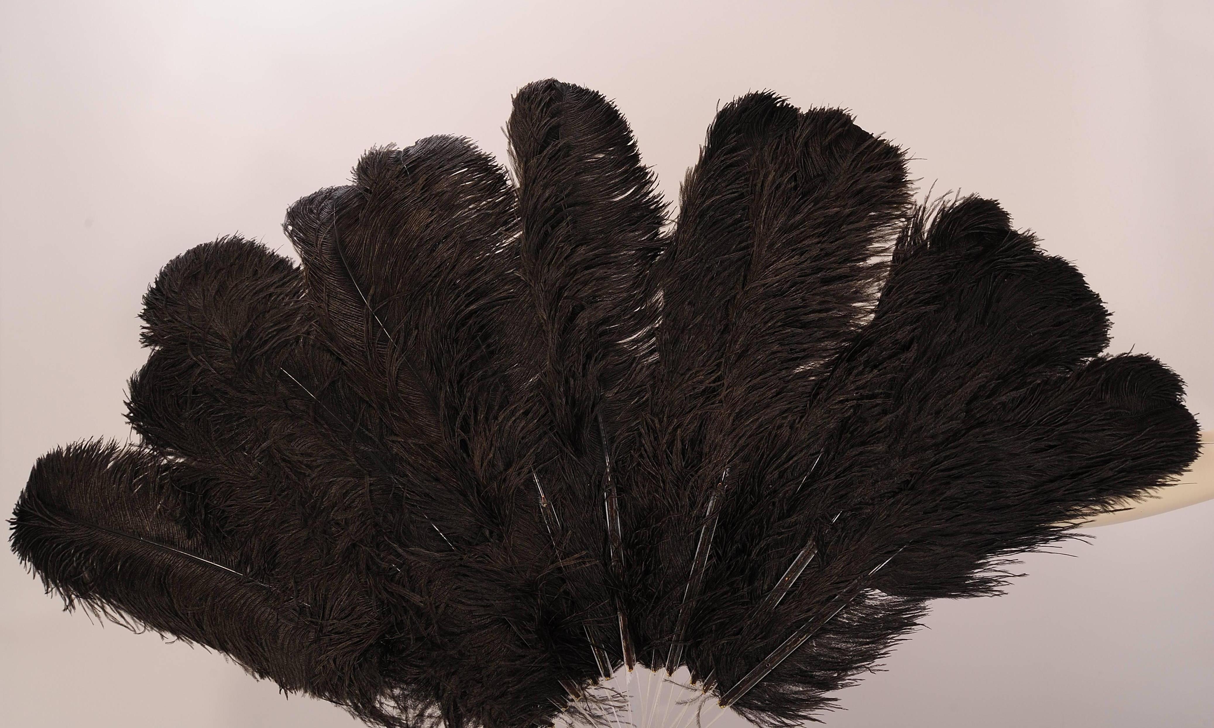 Women's or Men's Patrick Kelly Atelier Giant Lucite and Black Ostrich Feather Fans, Runway 1989