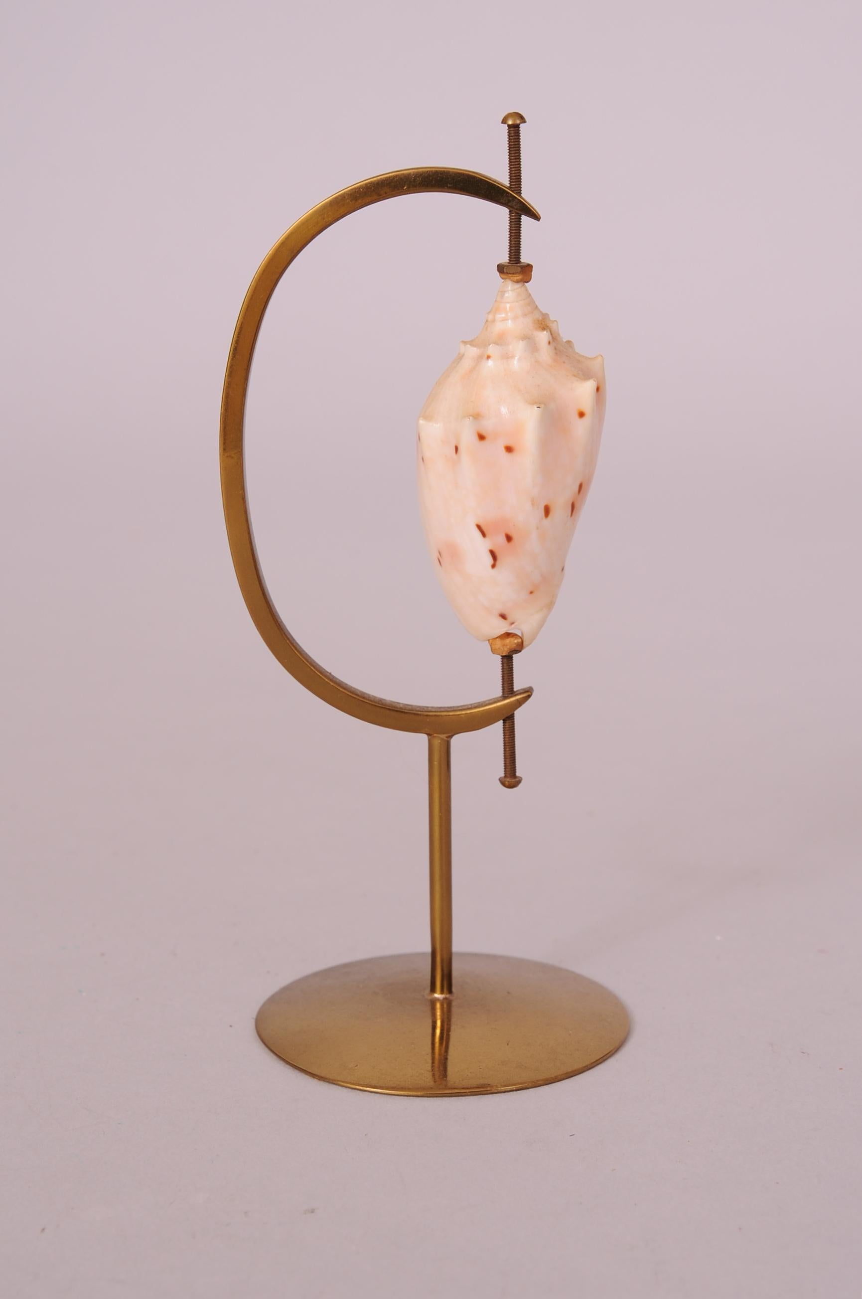 Marguerite Stix is best known for her shell jewelry and her collaboration with her husband on two books about shells. 
They founded the Stix Rare Shell Gallery in Greenwich Village in the 1960's. She designed brass stands to display the rare shells