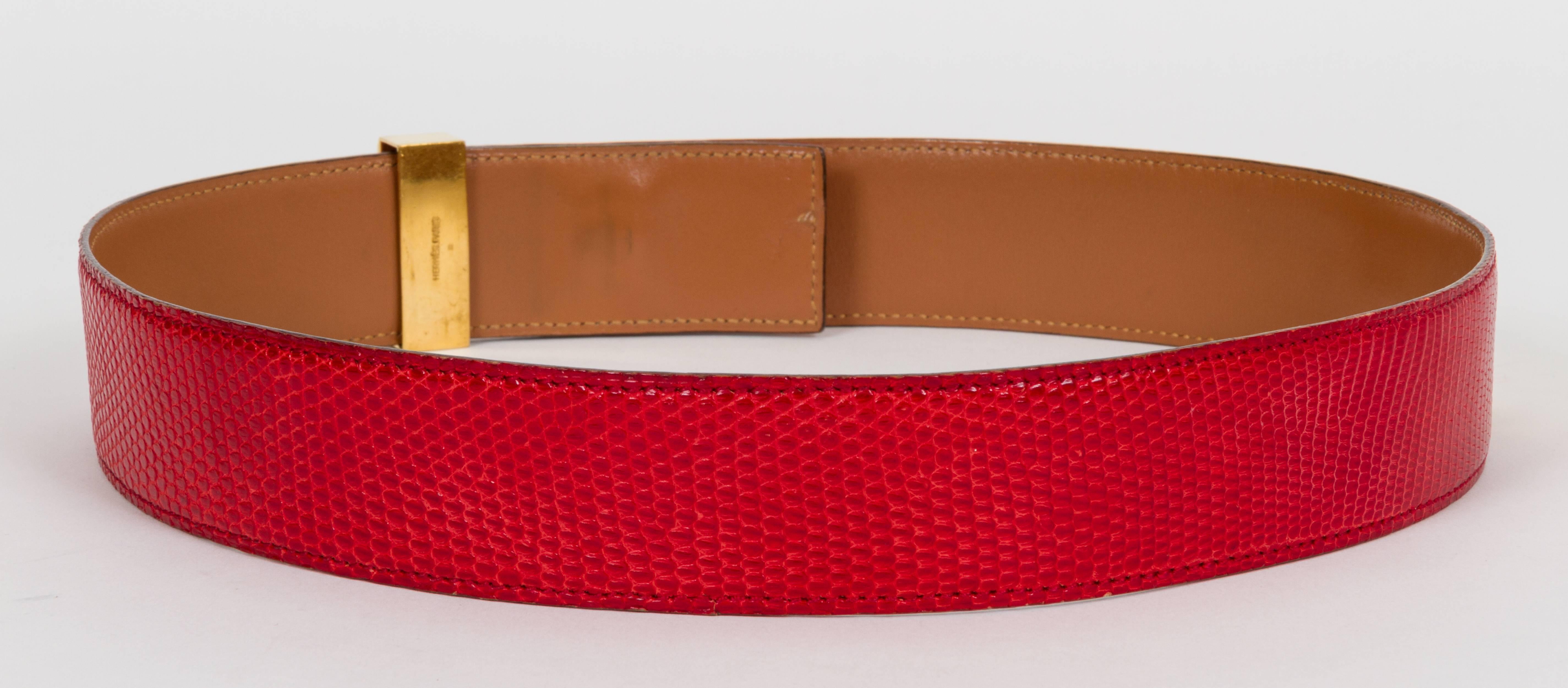 hermes collier de chien belt