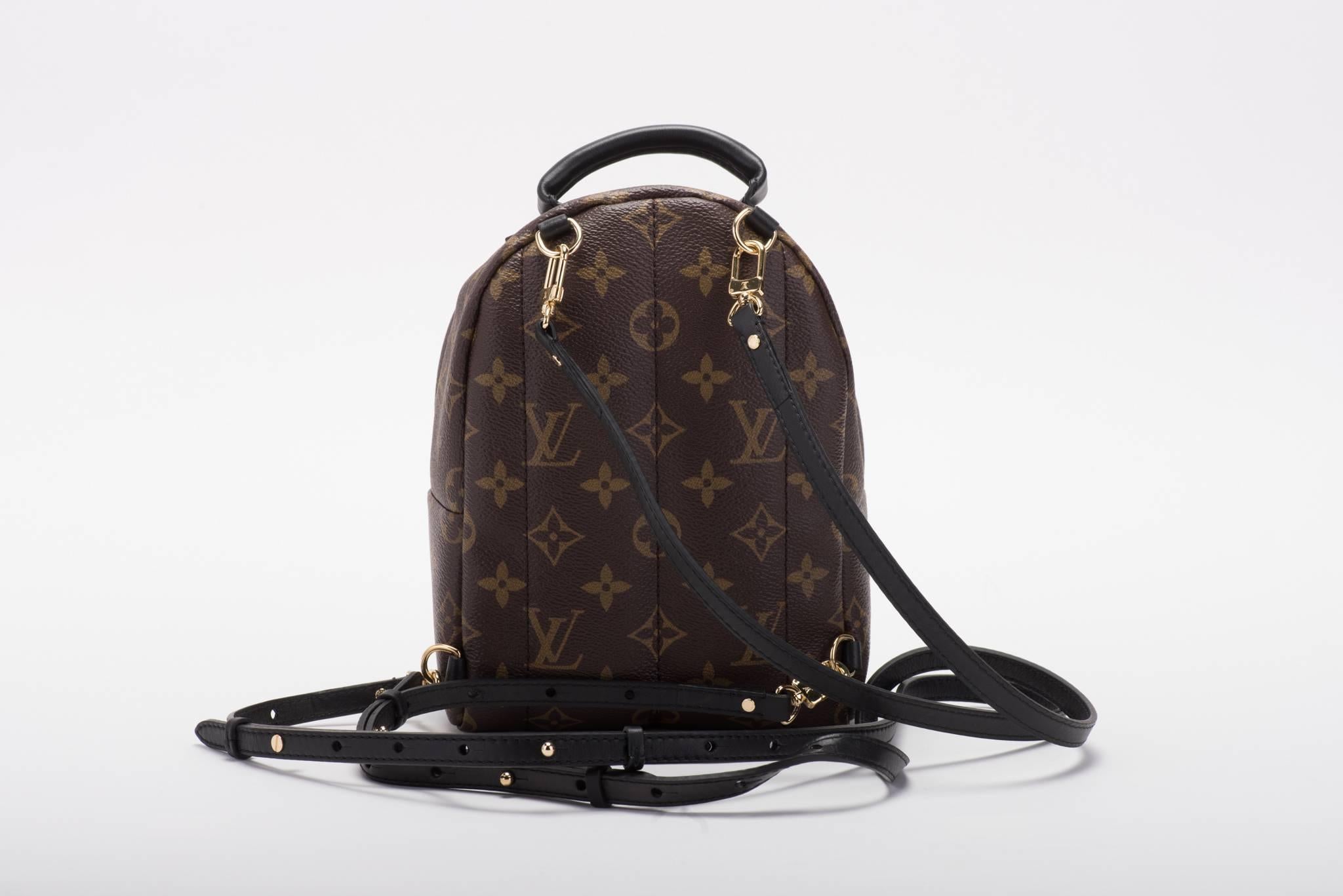 louis vuitton palm springs backpack mini