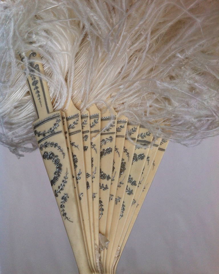 Women's 1920s Rare and Marvelous extra long white ostrich feather and gala lithe fan For Sale