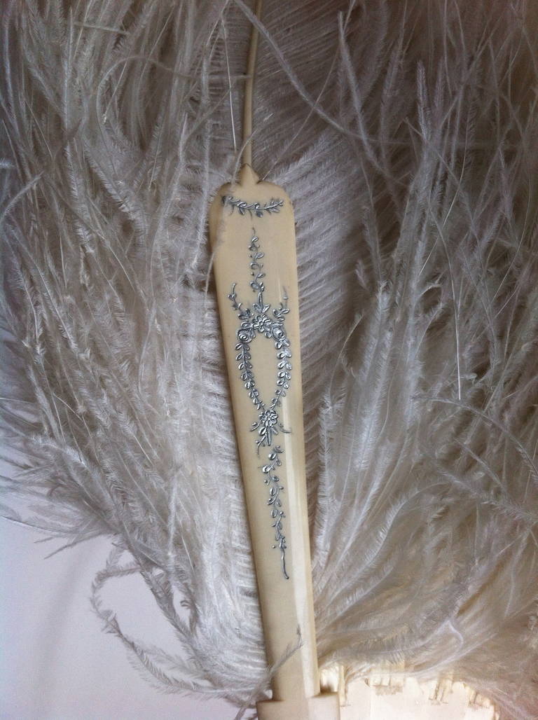 1920s Rare and Marvelous extra long white ostrich feather and gala lithe fan For Sale 2