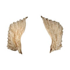 Elizabeth Mason Couture Silk Ruffle Bolero 5