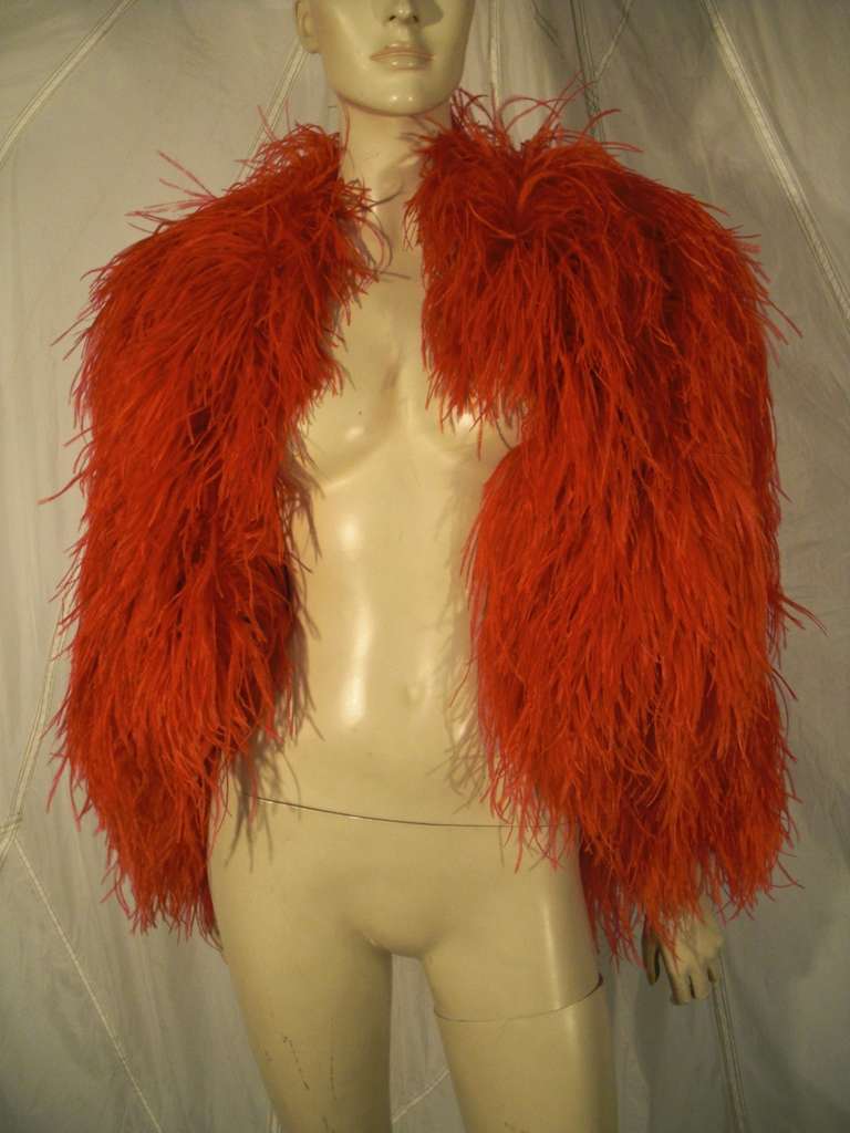 Women's or Men's 1970s Lavish Ostrich Feather Cropped Chubby in Vivid Red