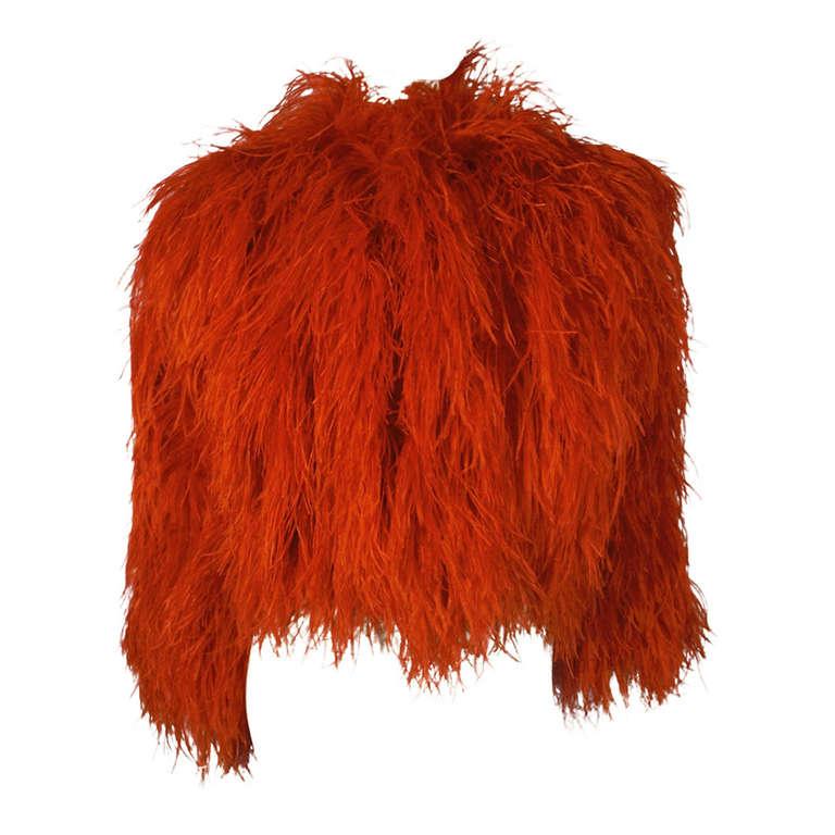 1970s Lavish Ostrich Feather Cropped Chubby in Vivid Red at 1stDibs ...
