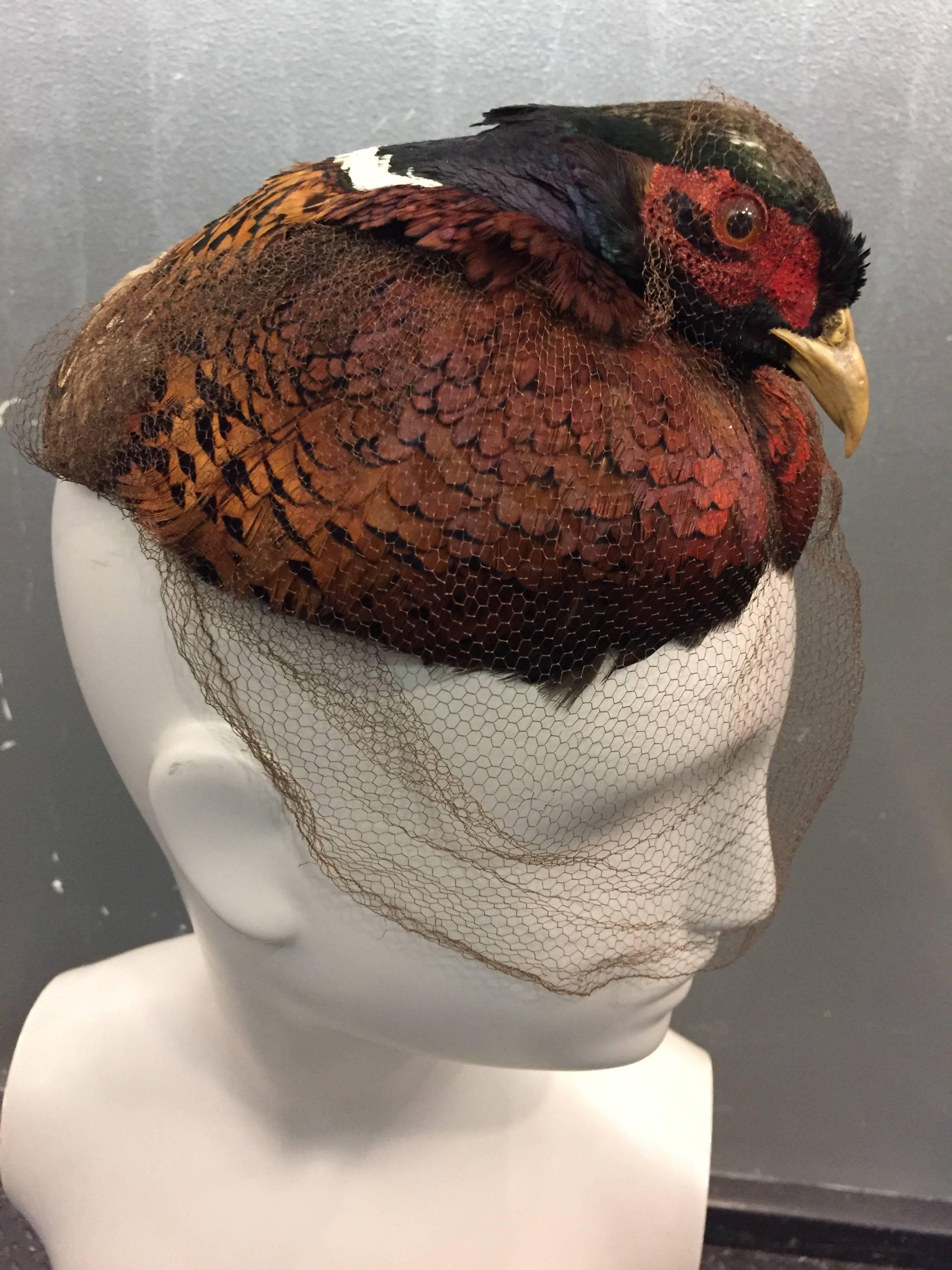 A spectacularly unusual and rare 1950s real pheasant taxidermy head and neck ruff feathers are mounted on an Ogden's pillbox style hat.  Veil attached. 