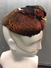 1950s Real Pheasant Taxidermy Hat w/ Veil