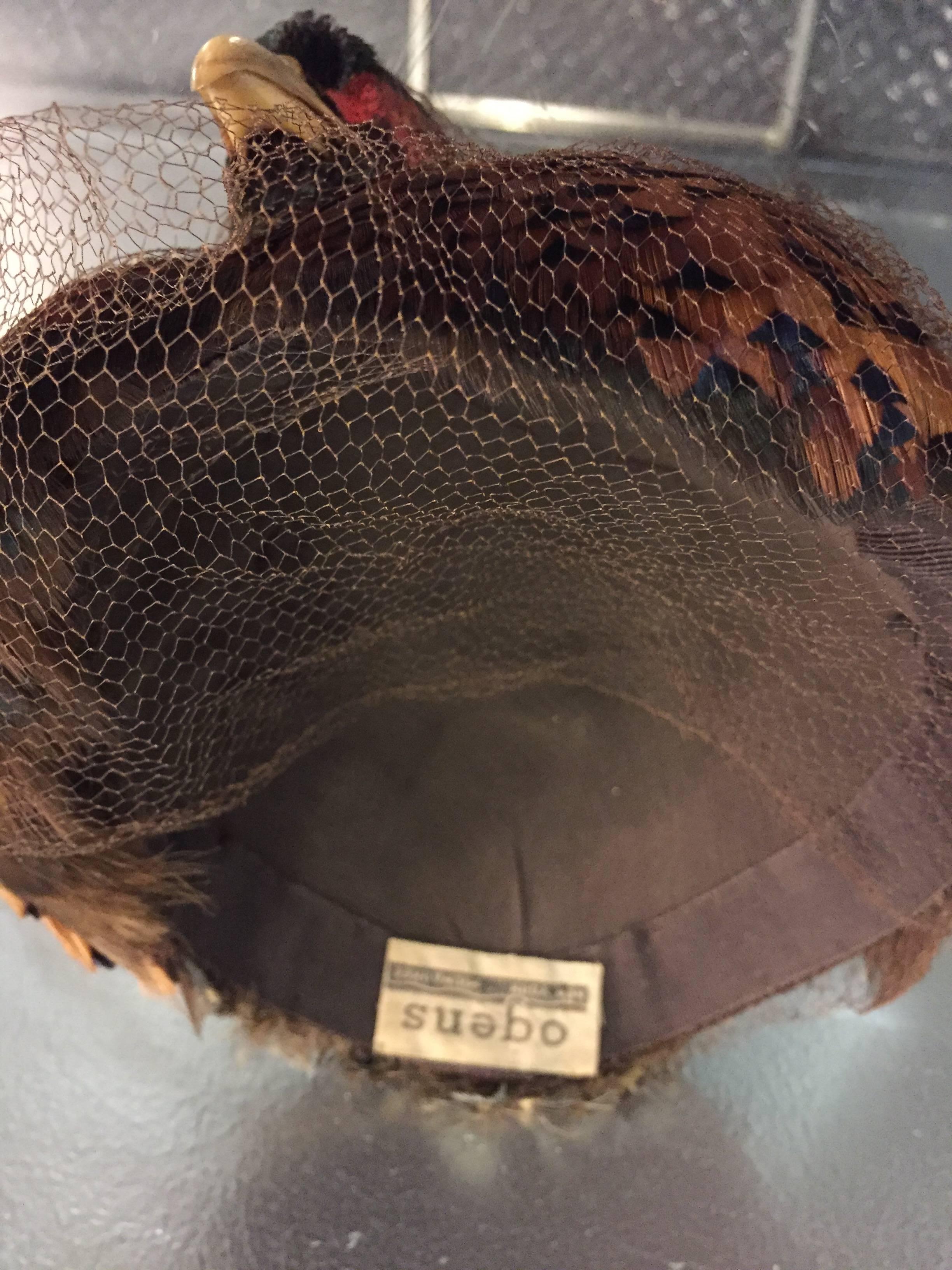 1950s Real Pheasant Taxidermy Hat w/ Veil 2