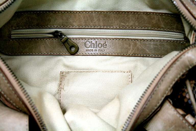 Chloe Beige Brown Python Large Silverado Bag 3
