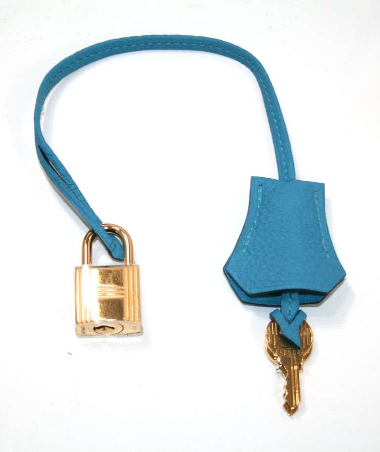 Hermes Birkin Bag in Turquoise Togo Leather Gold Hardware, 35 cm size 4