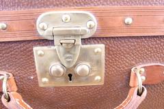 Vintage Goyard Trunk From The 40'S