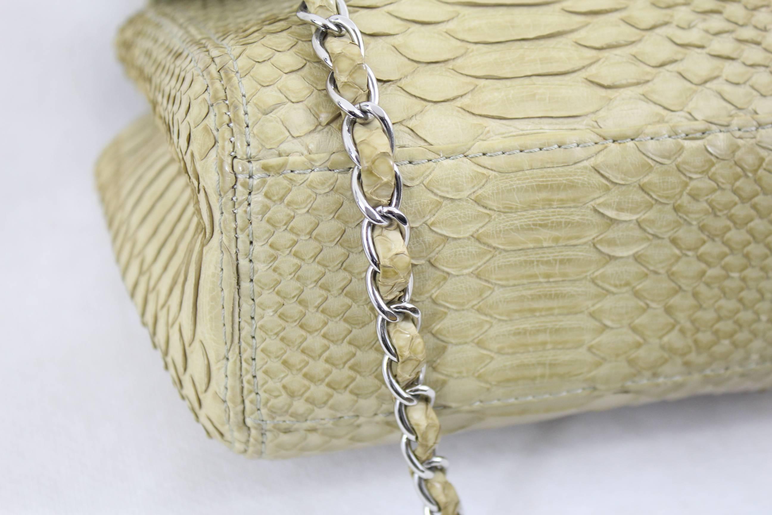 Women's Chanel Timeless Bag in Exotic skin and stainless steel  hardware