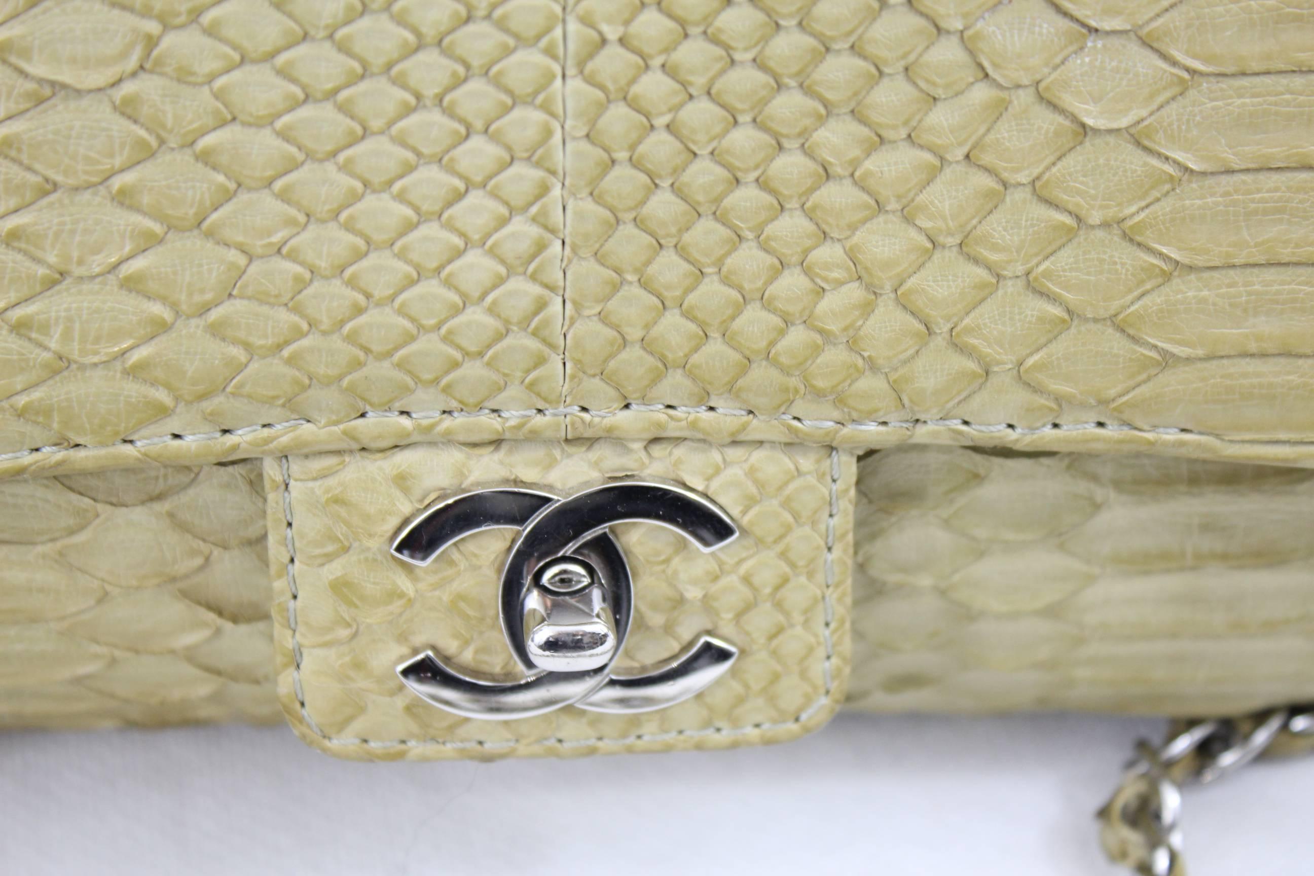 Chanel Timeless Bag in Exotic skin and stainless steel  hardware 2