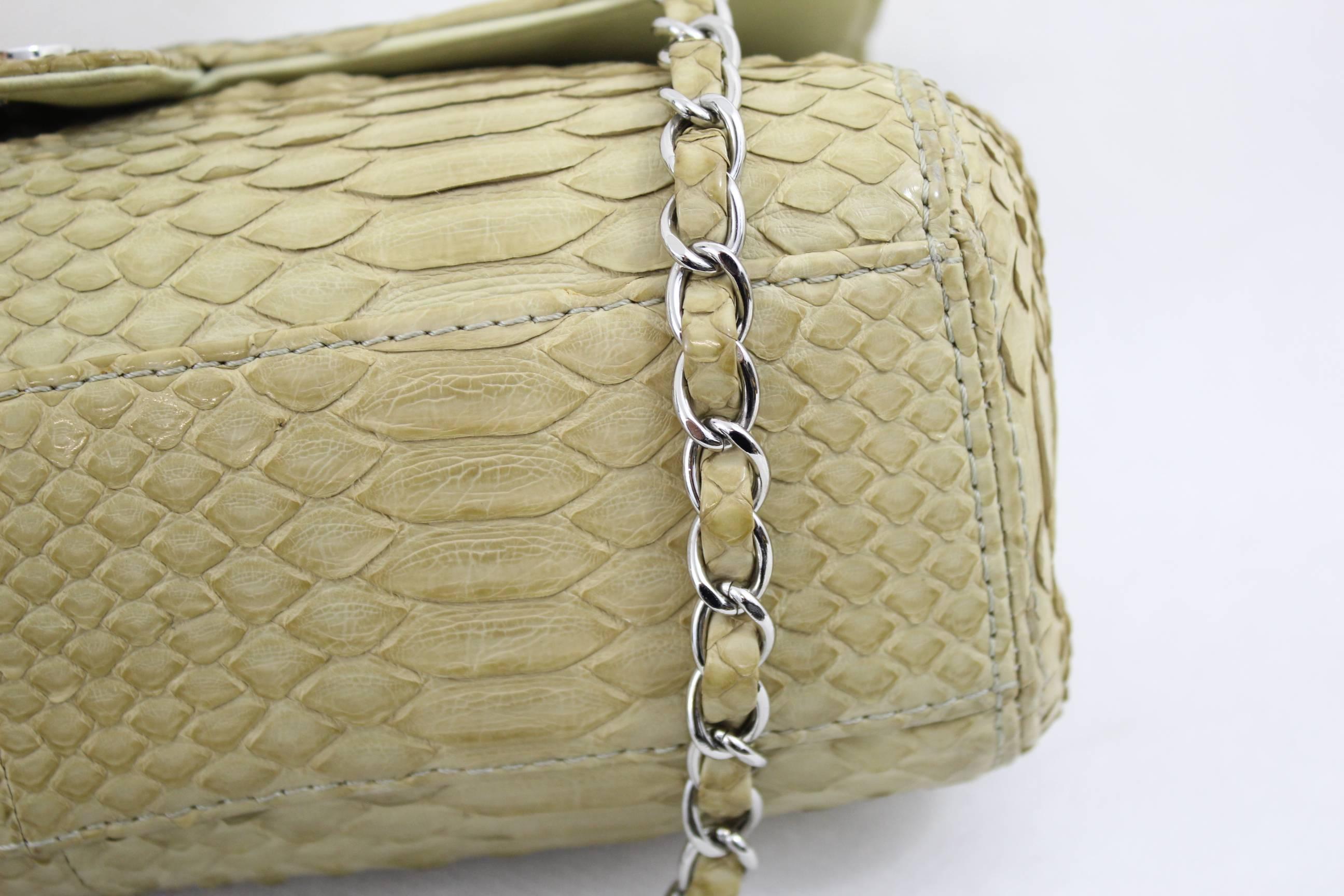 Brown Chanel Timeless Bag in Exotic skin and stainless steel  hardware