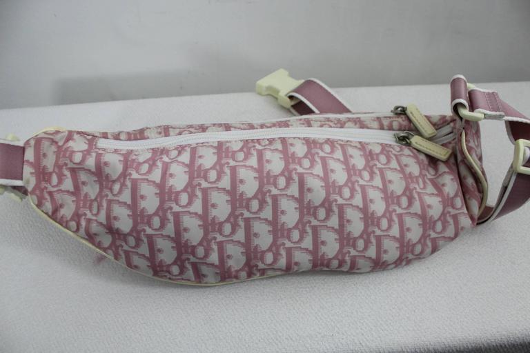 dior bum bag women's