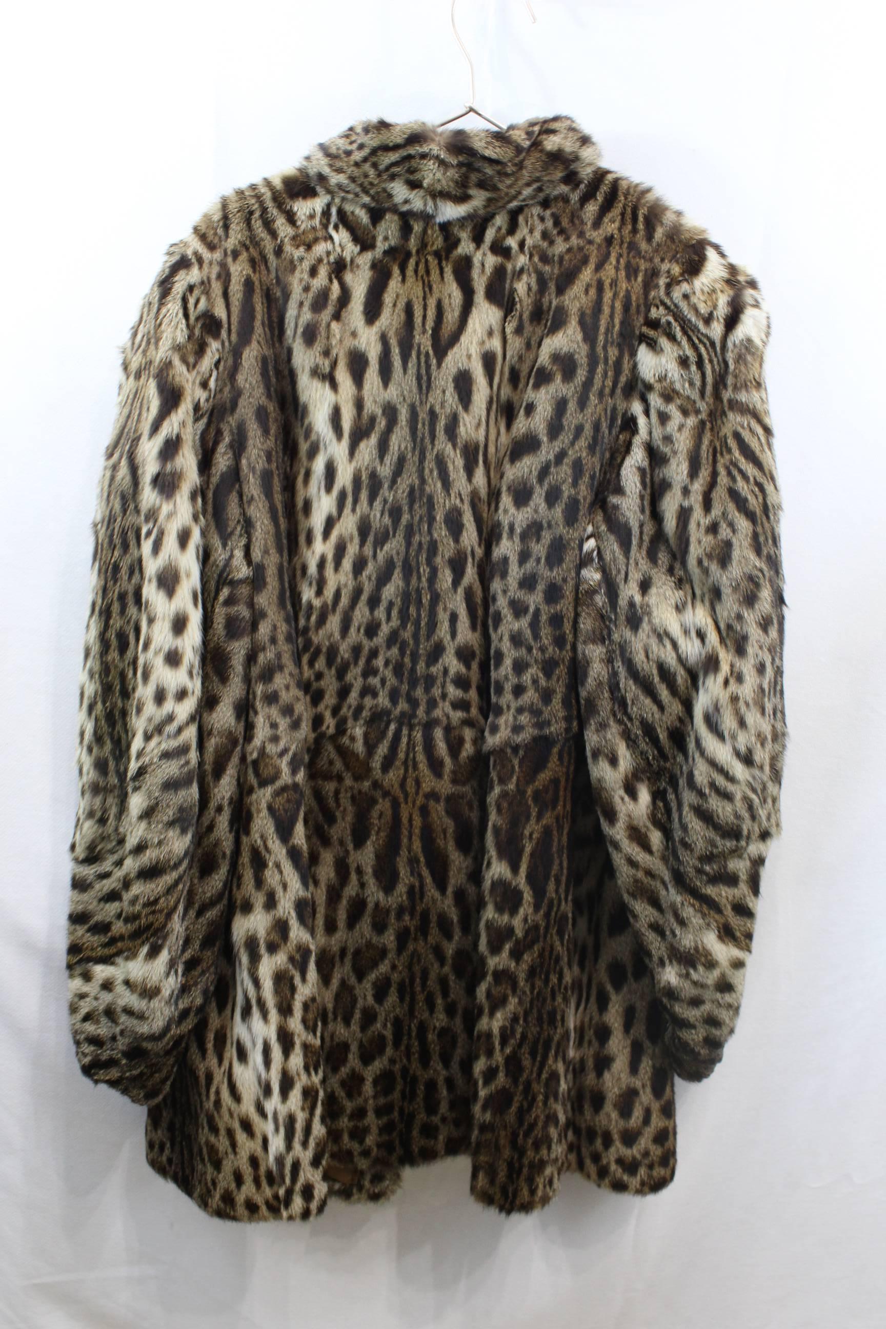 cat in fur coat