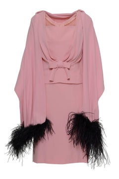 1960s Pink Cocktail Dress with black plumage on a stole