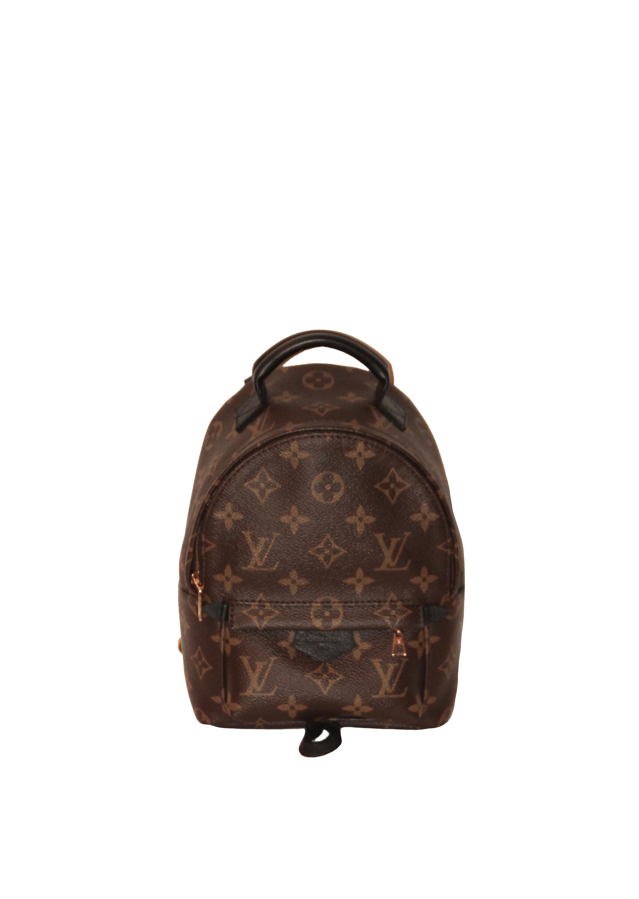 louis vuitton monogram palm springs backpack mini