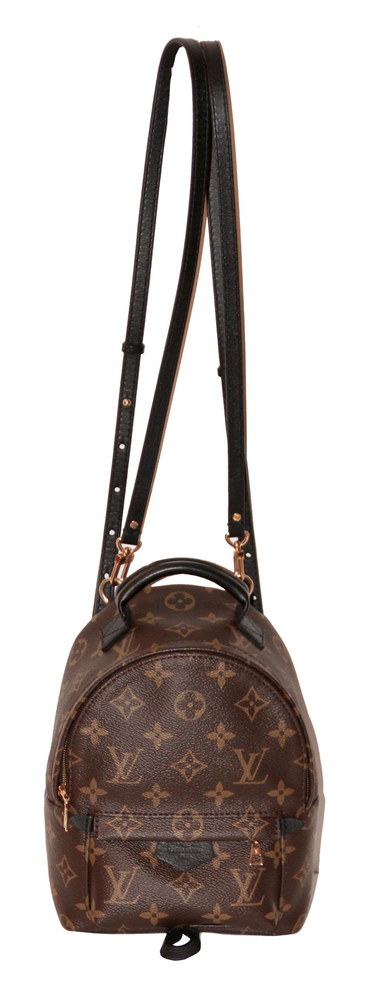 Louis Vuitton Palm Springs Backpack Mini at 1stDibs louis vuitton