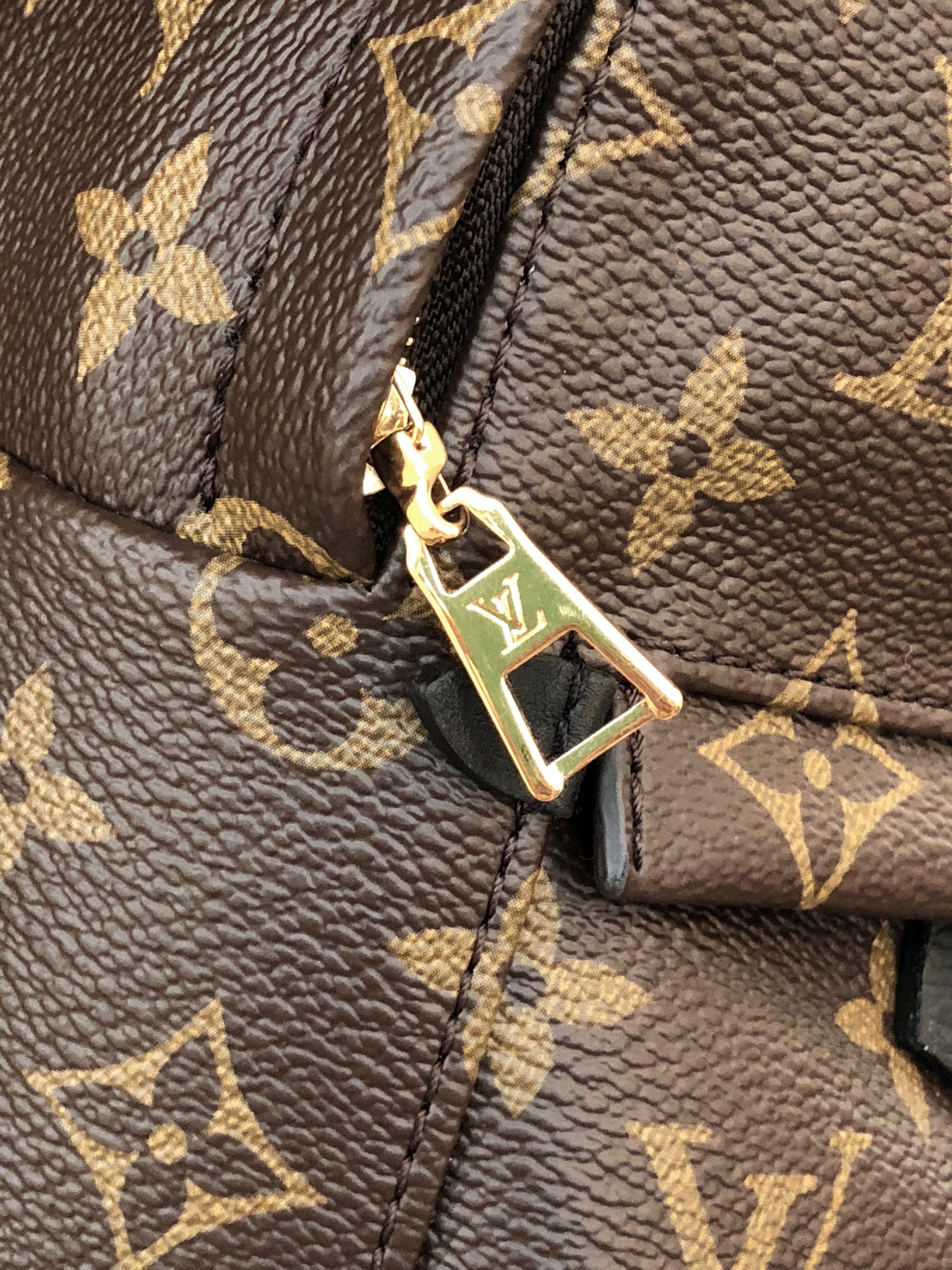 Louis Vuitton Palm Springs Backpack Mini  6