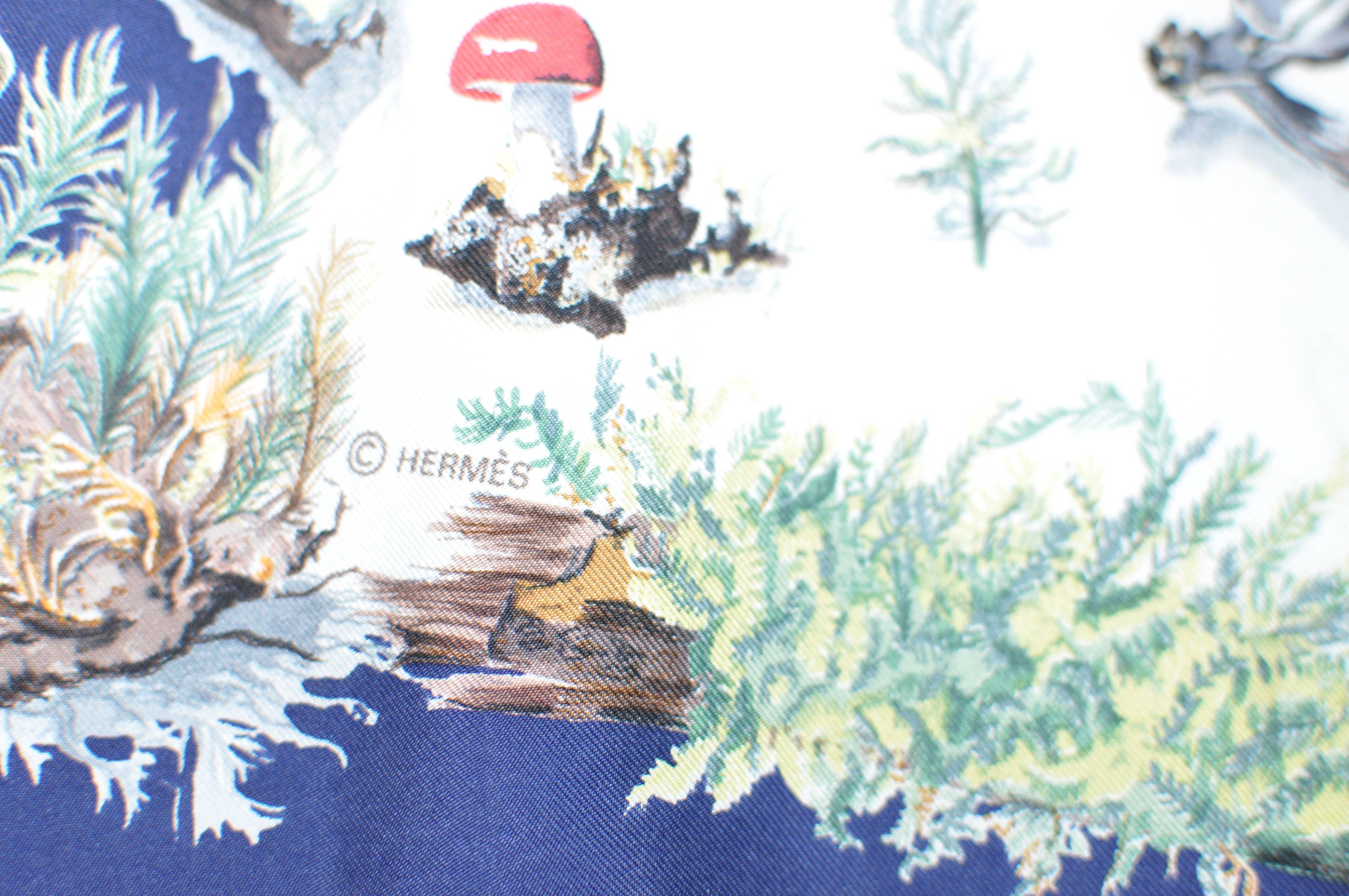 Gray Hermes 