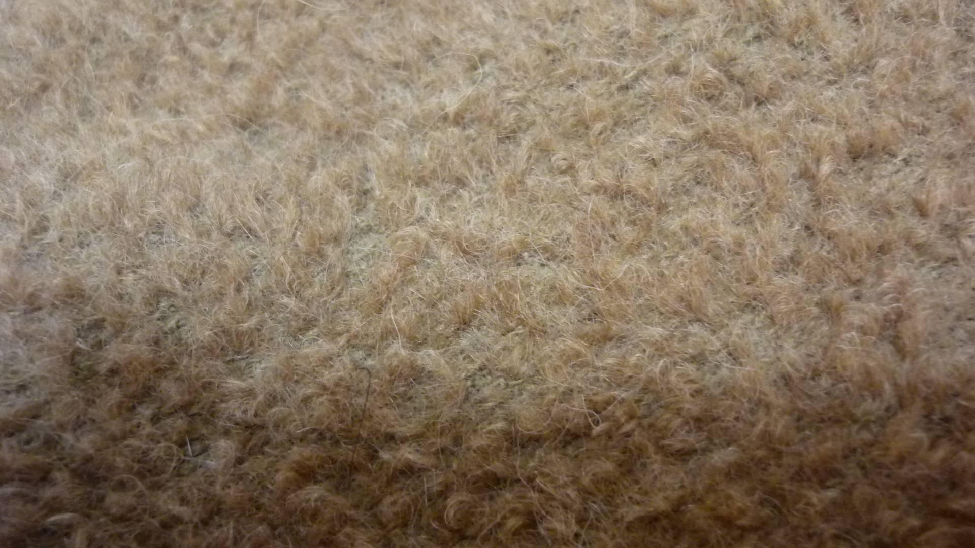 max mara alpaca coat