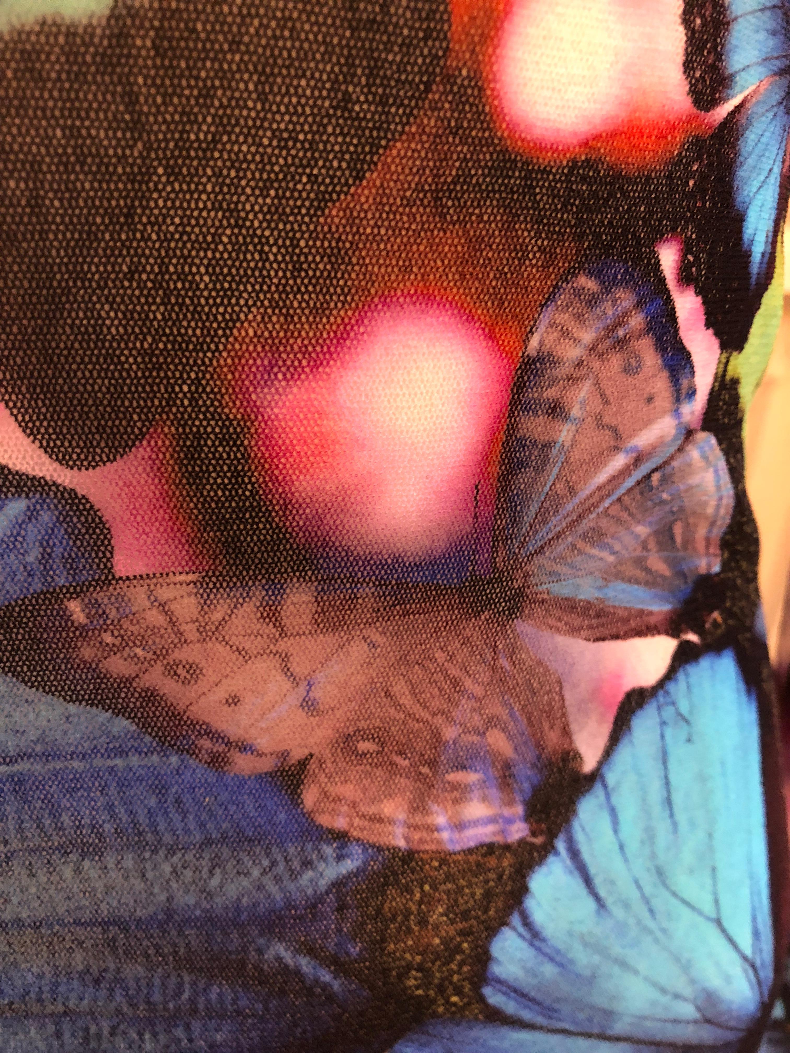 jean paul gaultier butterfly top