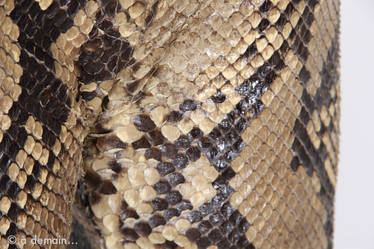 Junko Shimada Python Pants 4