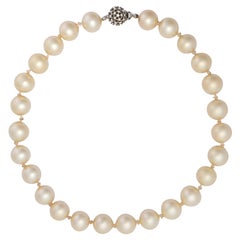 1960s Ciner Single Strand Pearl Necklace with Diamante Clasp
