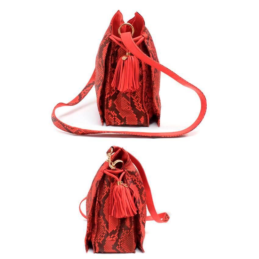 loewe snakeskin bag