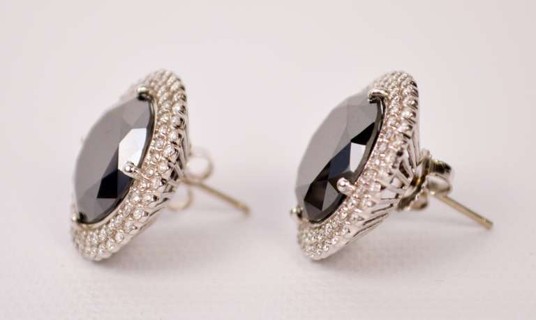 Black Diamond Earrings 14K White Gold Brilliant Cut White Diamonds In New Condition In Lake Park, FL