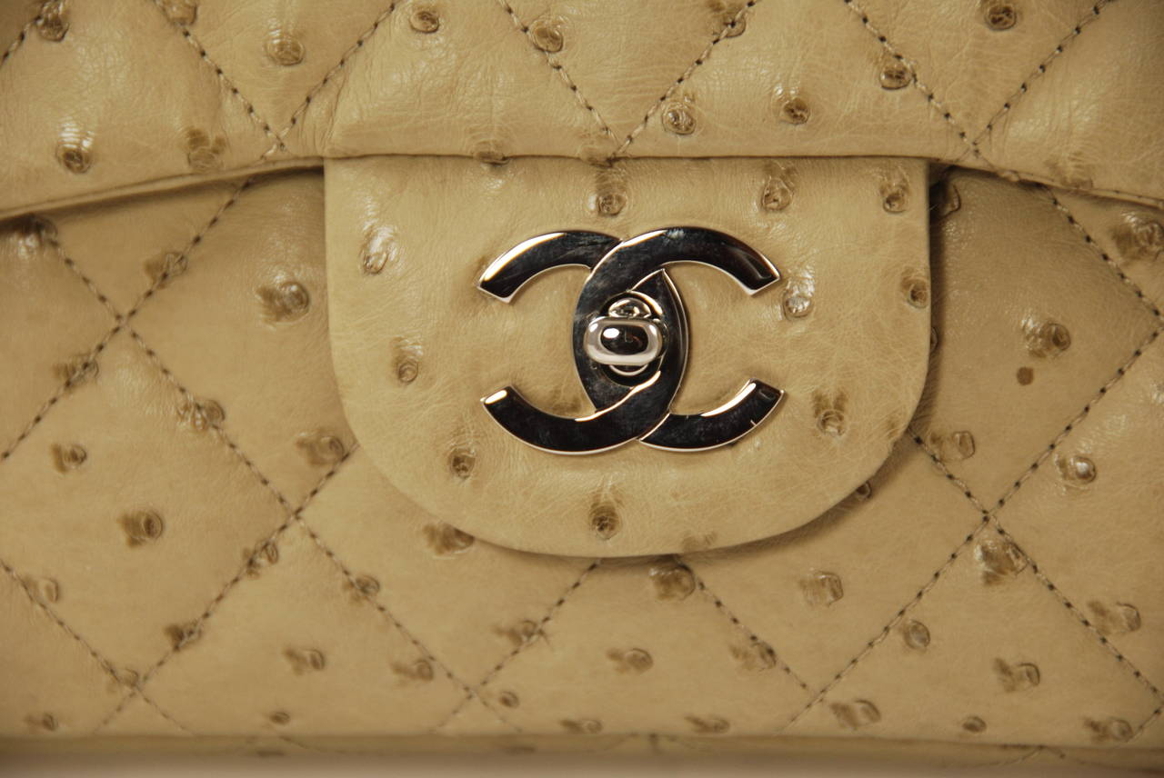 chanel ostrich bag