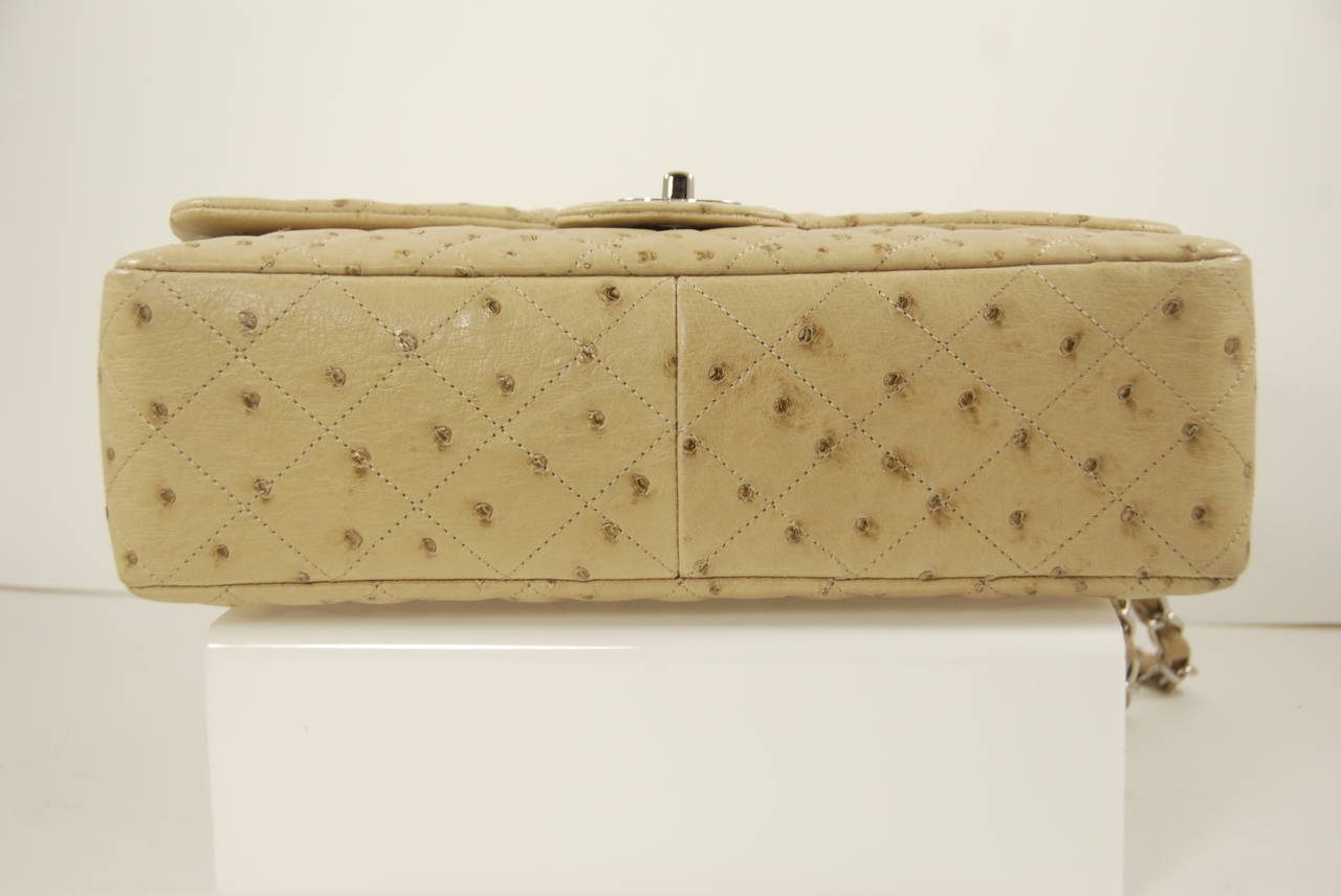 Women's Rare Chanel Ostrich Jumbo Flap Bag