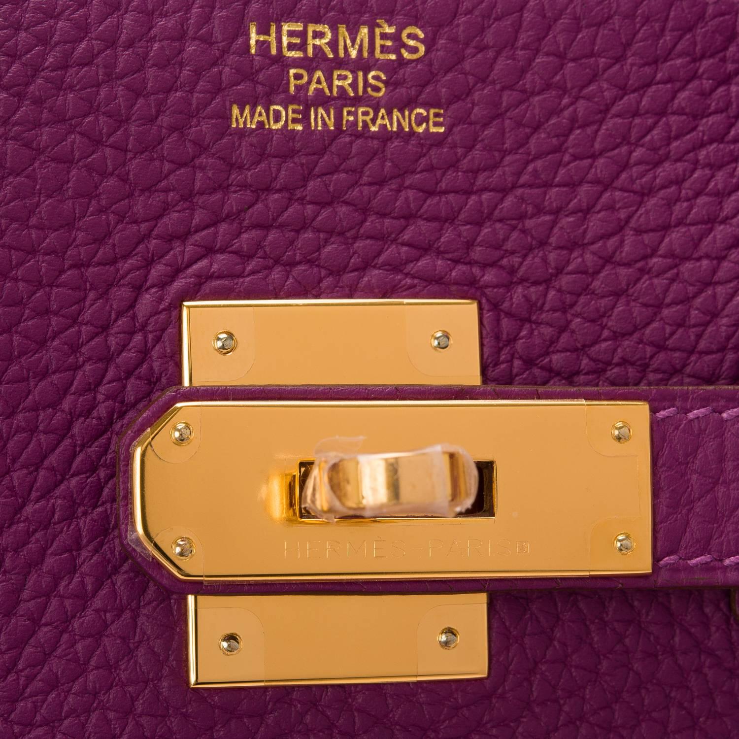 Women's Hermes Anemone Togo Birkin 35cm Gold Hardware