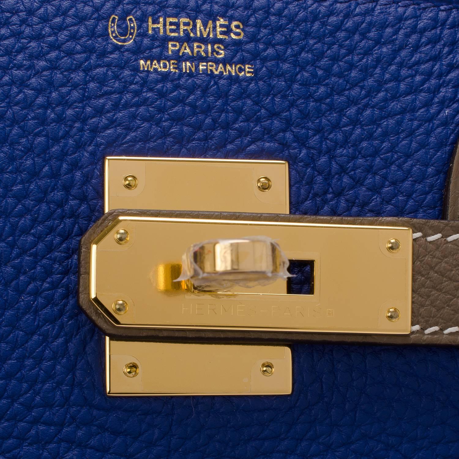 Women's Hermes Hss Tri-color Blue Electric Anenome Togo Birkin 30cm Gold Hardware