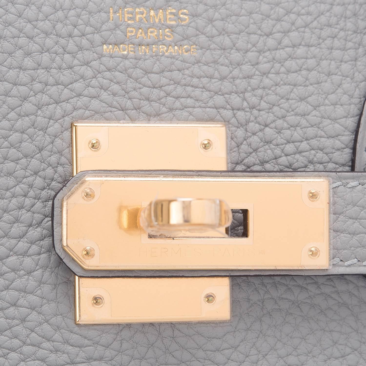 Gray Hermes Gris Mouette Togo 30cm Gold Hardware Birkin Bag For Sale