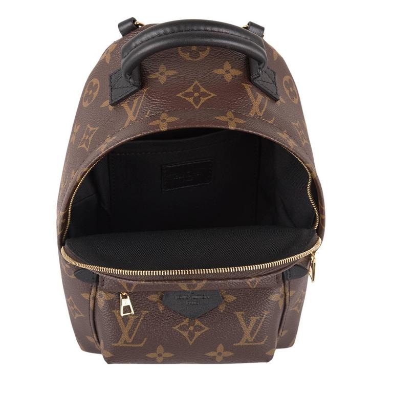 Louis Vuitton Palm Springs Backpack Mini 1