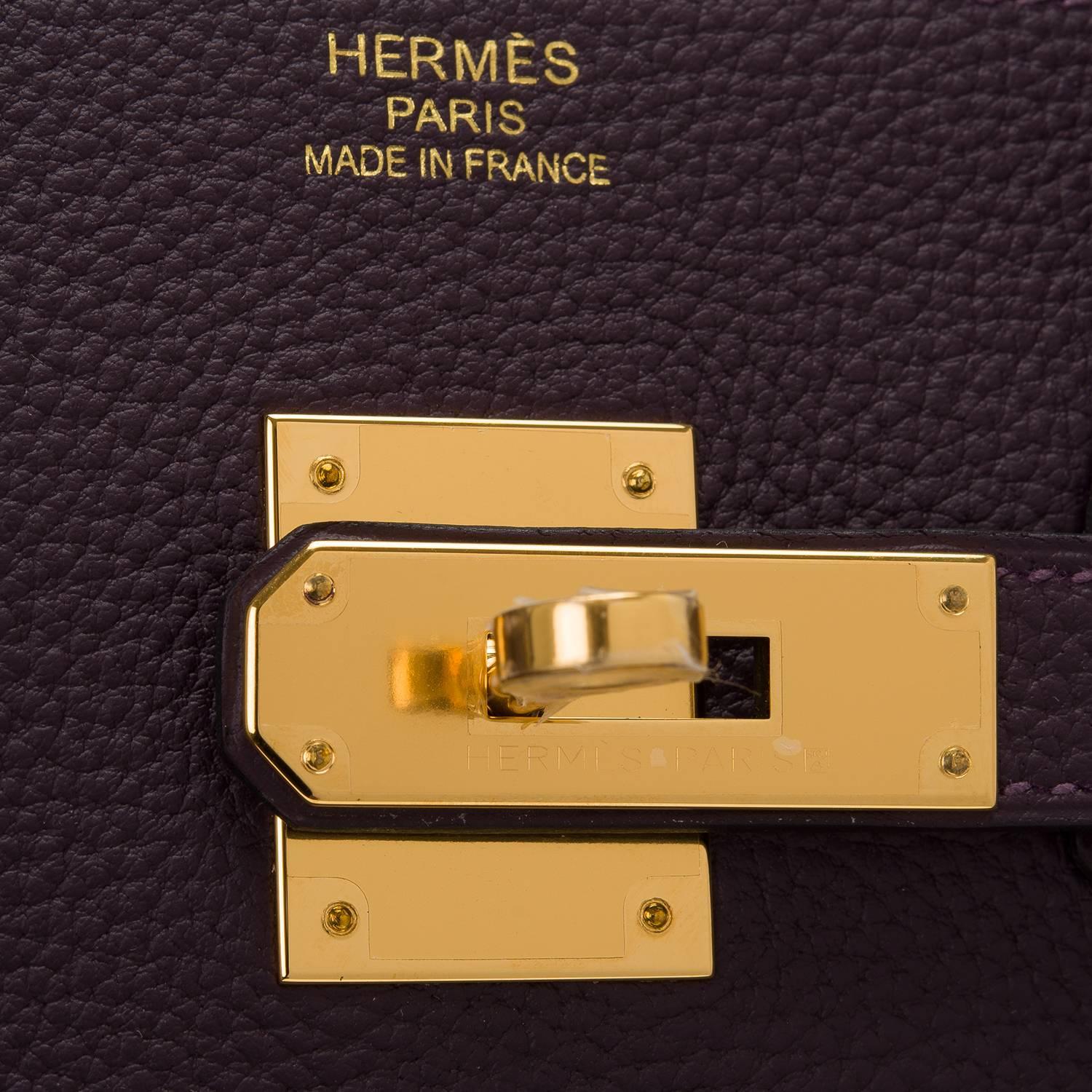 Hermes Raisin Togo Birkin 35cm Gold Hardware For Sale 1