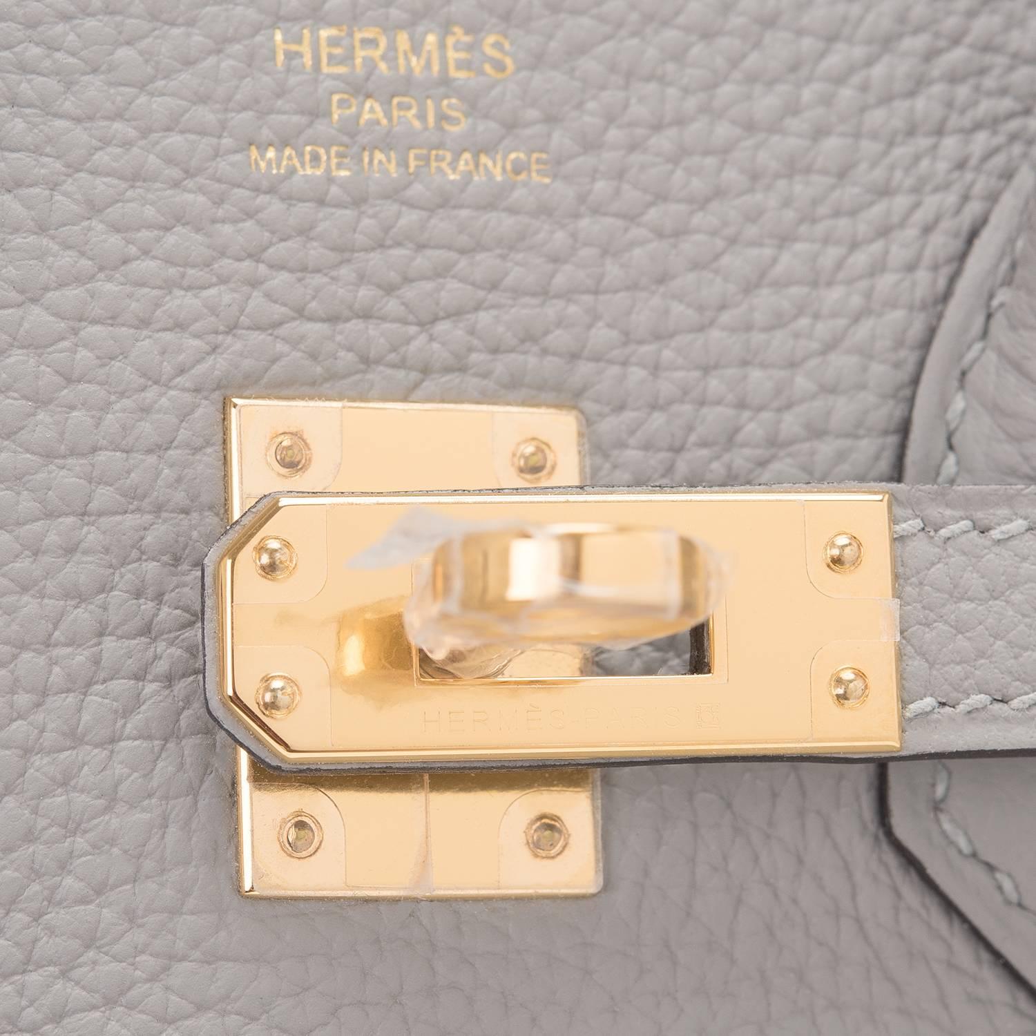 Hermes Gris Mouette Togo Birkin 25cm Gold Hardware 1
