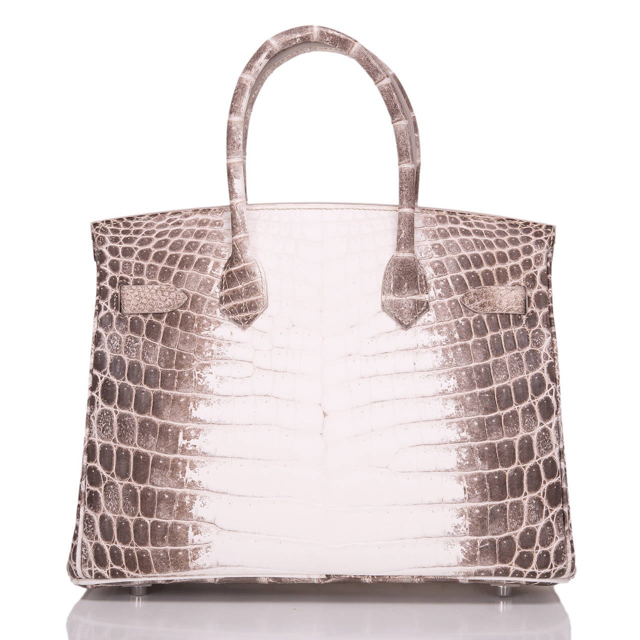 niloticus crocodile himalaya birkin
