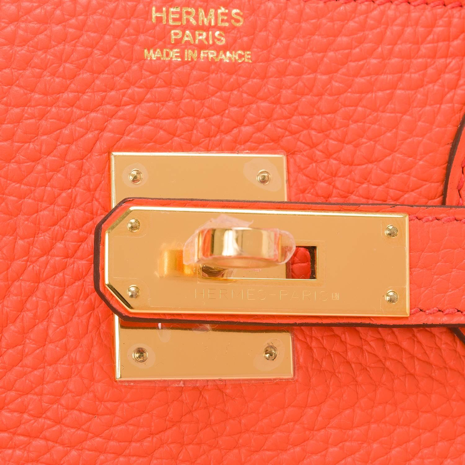 Hermes Orange Poppy Clemence Birkin 30cm Gold Hardware 1