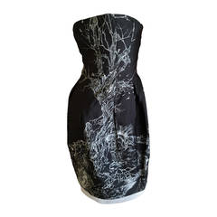 Alexander McQueen 2008 "The Girl Who Lived in the Tree" Dress