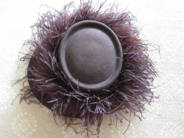 Ostrich Feather Wide Brim Hat 2