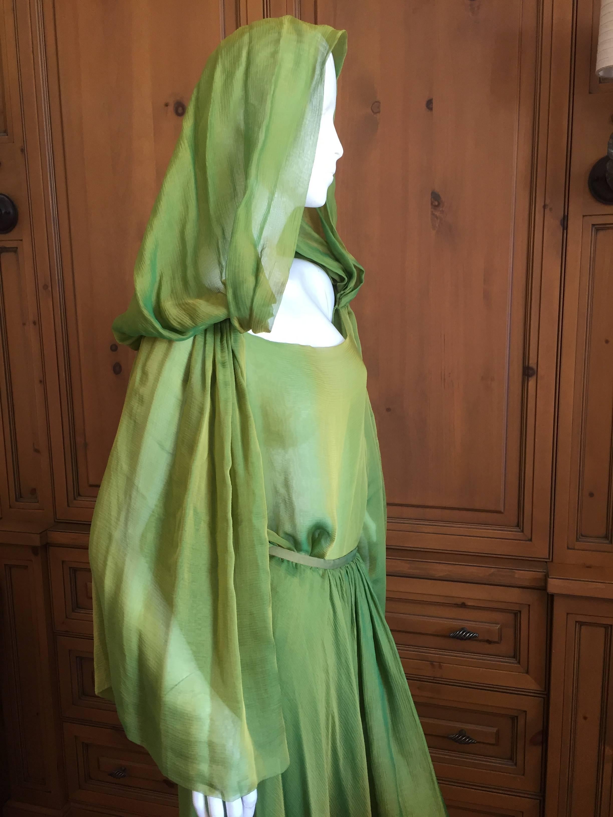 Oscar de la Renta Silk Chiffon Two Piece Dress with Hood 2