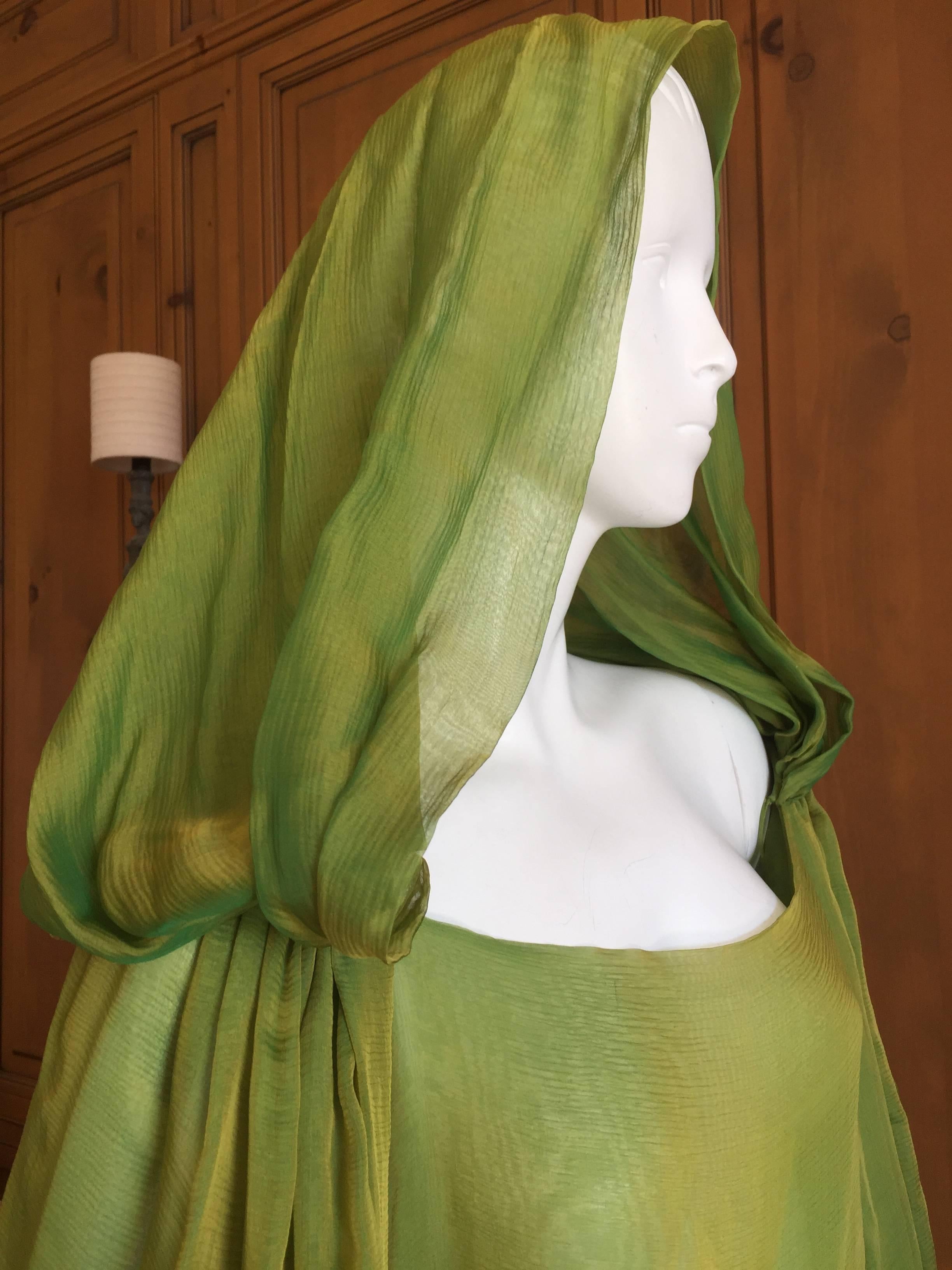 Oscar de la Renta Silk Chiffon Two Piece Dress with Hood 1