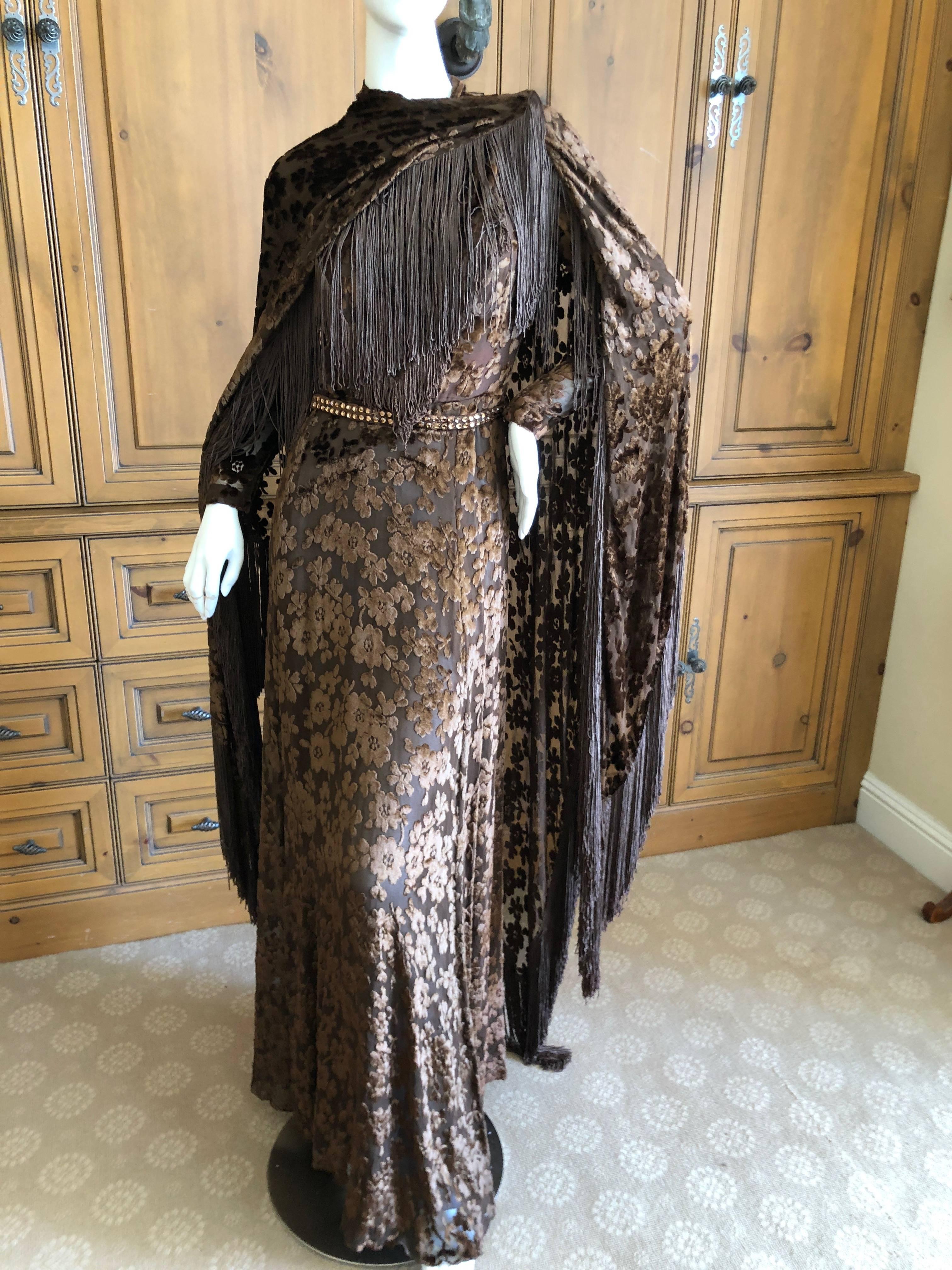 Cardinali Sheer 1970's Devore Velvet Fringed Evening Dress with Fringe Shawl  For Sale 7