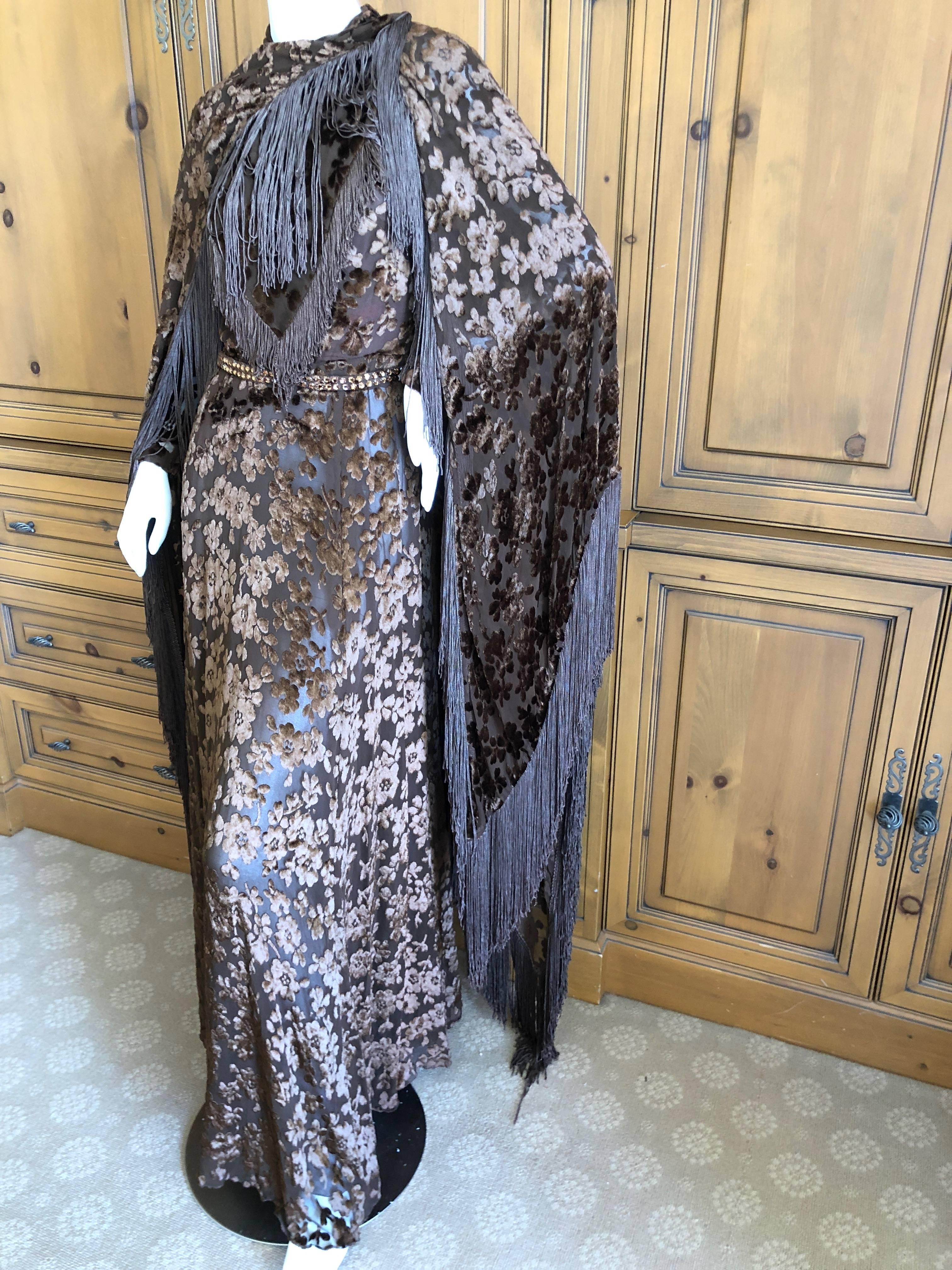 Cardinali Sheer 1970's Devore Velvet Fringed Evening Dress with Fringe Shawl  For Sale 9