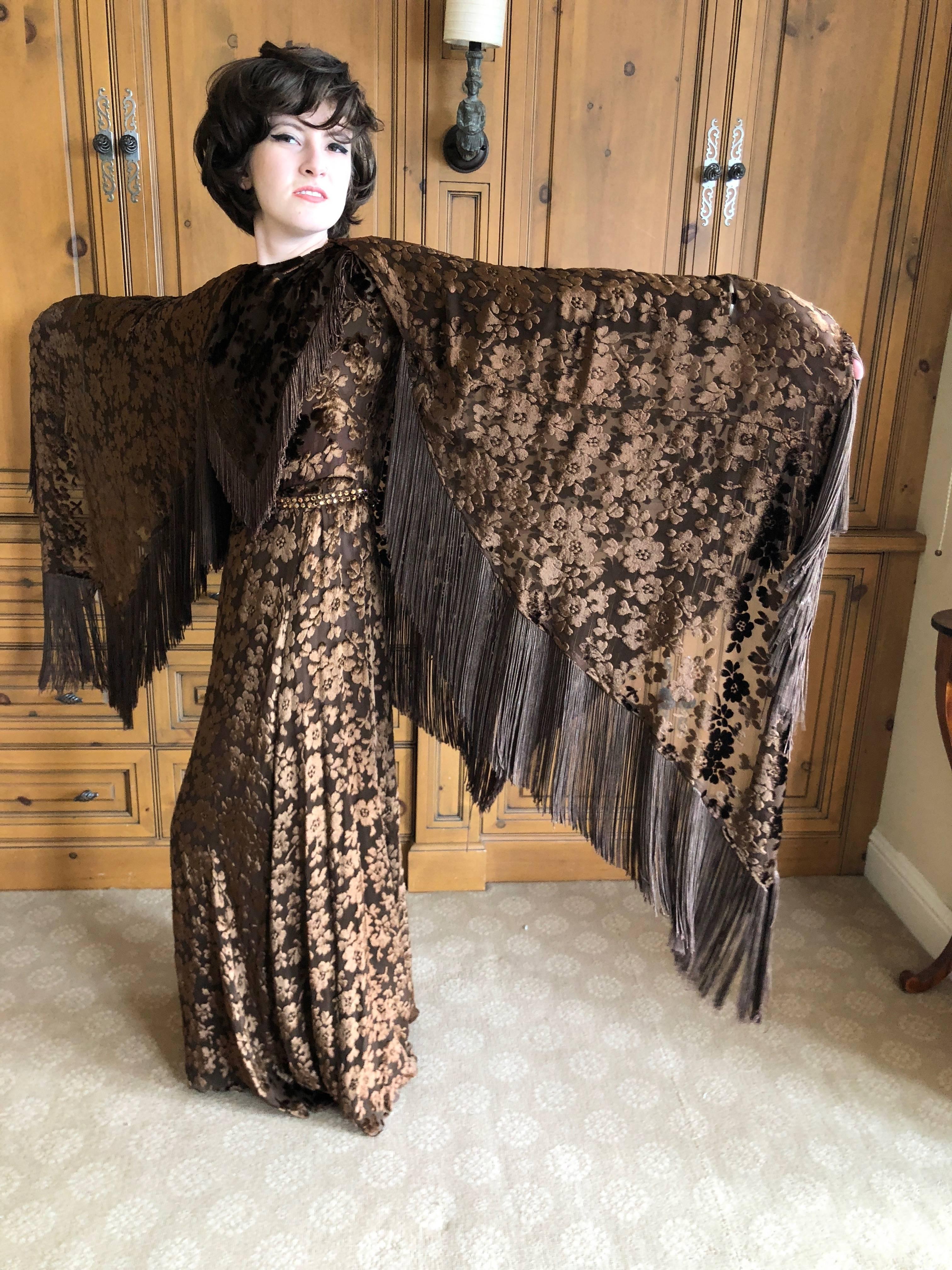 Women's Cardinali Sheer 1970's Devore Velvet Fringed Evening Dress with Fringe Shawl  For Sale